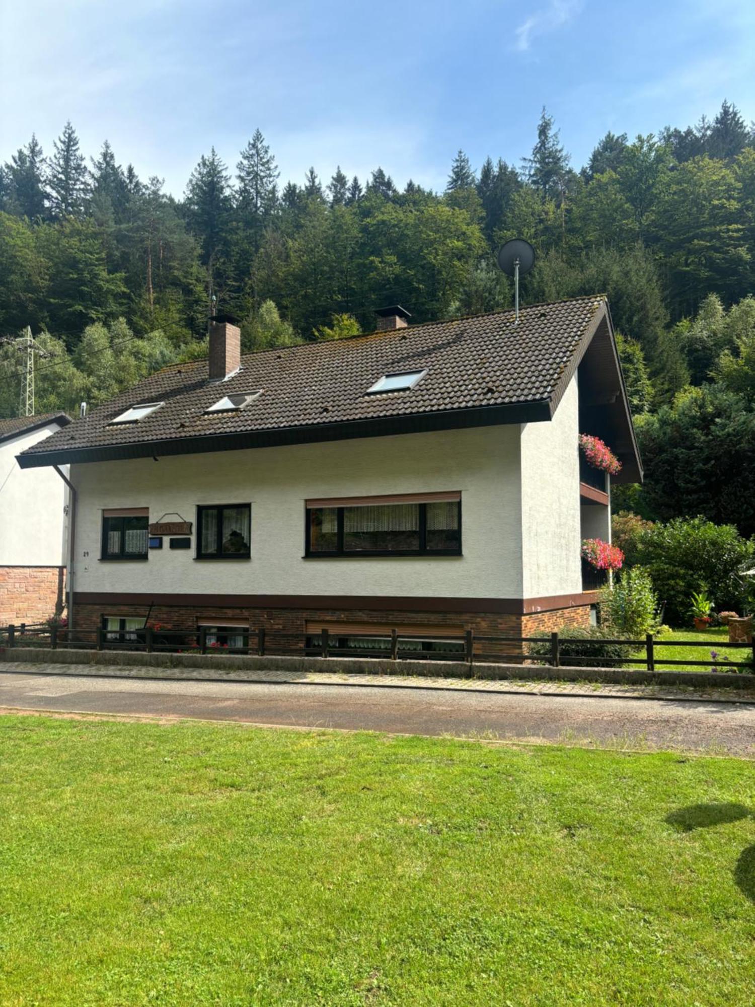 Hotel Pension Ernst Im Herzen Des Pfaelzerwaldes Mit Kueche Elmstein Exterior foto